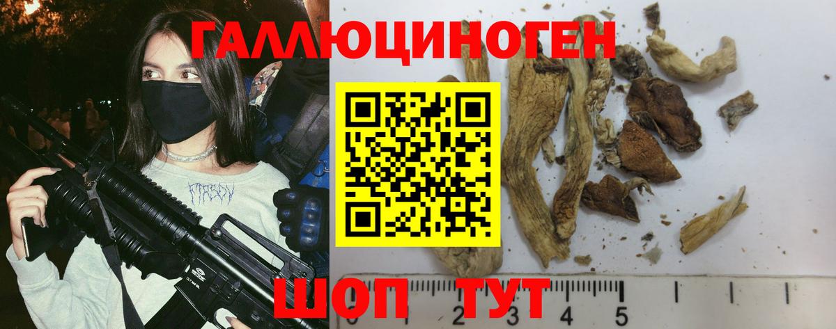 Галлюциногенные грибы Magic Shrooms  Вход с VPN  Котовск 